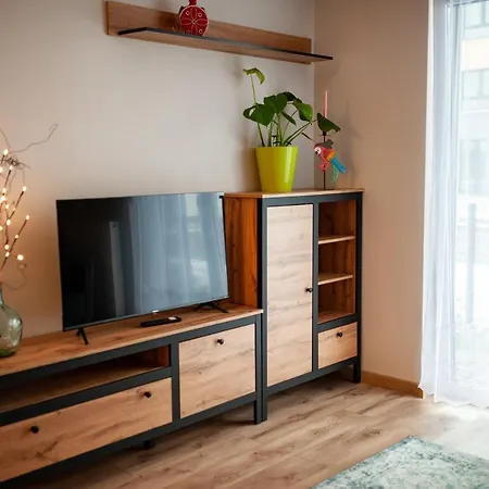 New Luxury In Apartment Breslau